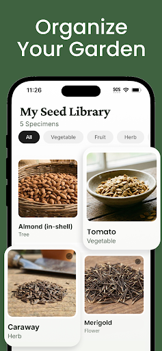 Seed Identifier: Seed ID ekran görüntüsü