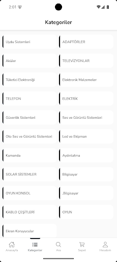 Rıdvan Elektronik ekran görüntüsü
