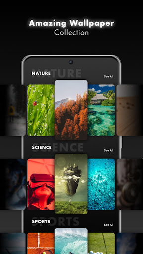 Live Wallpaper: Parallax HD In ekran görüntüsü