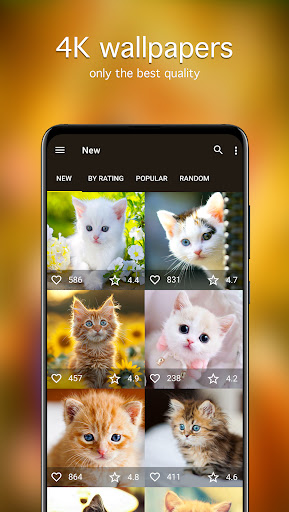 Kitten Wallpapers 4K ekran görüntüsü