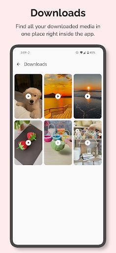 Pinterest İçin Video İndirici ekran görüntüsü