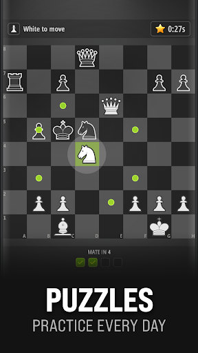 CHESS PRO - Clash Puzzle 3D ekran görüntüsü