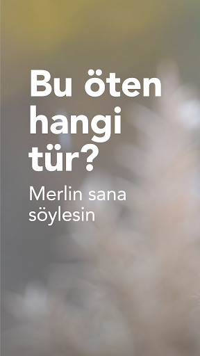 Merlin Bird ID by Cornell Lab ekran görüntüsü