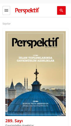 Perspektif ekran görüntüsü