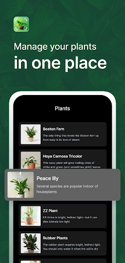 Plant Identifier AI Plant Care ekran görüntüsü