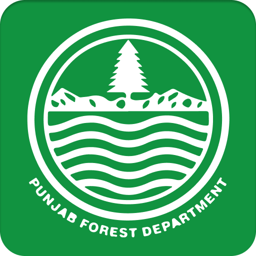 Forest Inspection Regime