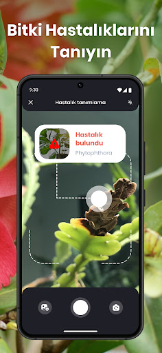 PlantIn: Bitki Tanımlama ekran görüntüsü