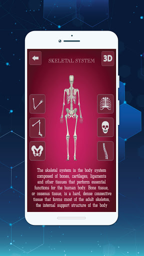 Complete 3D Female Anatomy ekran görüntüsü