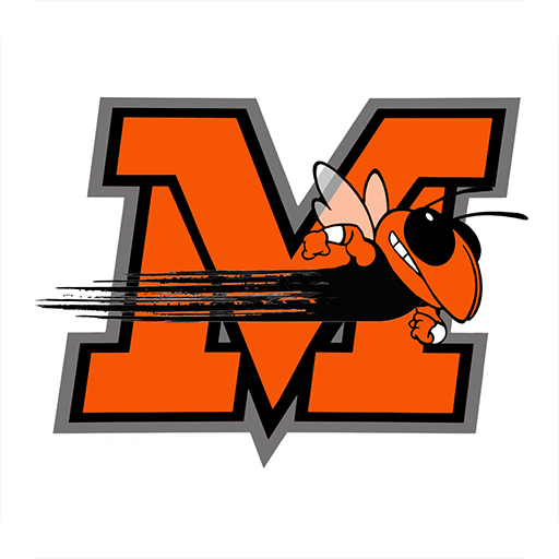 Mount Vernon City Schools