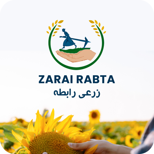 Zarayi Rabta