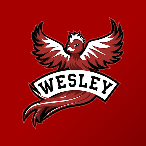 Ask Wes