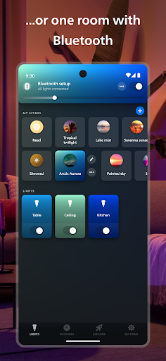 Philips Hue ekran görüntüsü