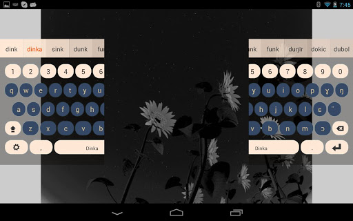 Dinka Keyboard Plugin ekran görüntüsü