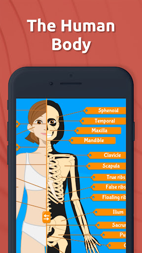 Human Anatomy - Body parts ekran görüntüsü