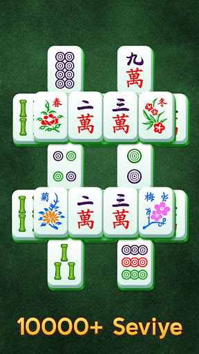 Vera Mahjong Solitaire ekran görüntüsü