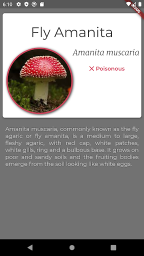 Mushroom Recogniser ekran görüntüsü