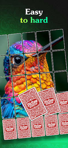 Picsaw Solitaire Puzzle Game ekran görüntüsü