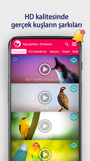 Kuş şarkıları: Zil Sesleri ekran görüntüsü
