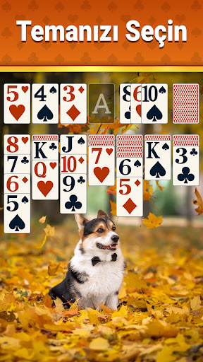 Klasik Solitaire - 2026 ekran görüntüsü