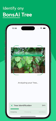 Tree Identifier ekran görüntüsü