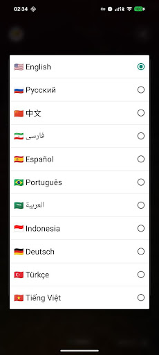 VPN BOX ekran görüntüsü