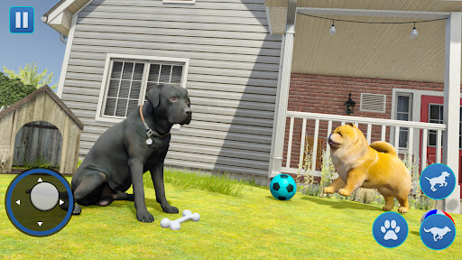 Köpek Simülatörü Köpek Oyunlar ekran görüntüsü