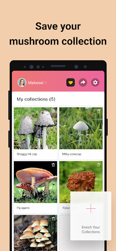 Picture Mushroom - Mushroom ID ekran görüntüsü