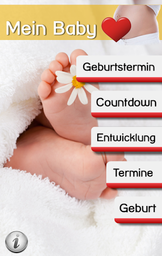 Mein Baby - Ich bin schwanger ekran görüntüsü