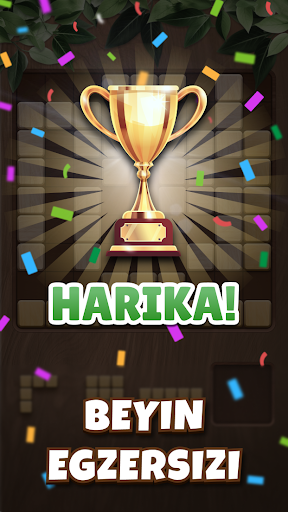 Wood Blocks: Block Buster ekran görüntüsü