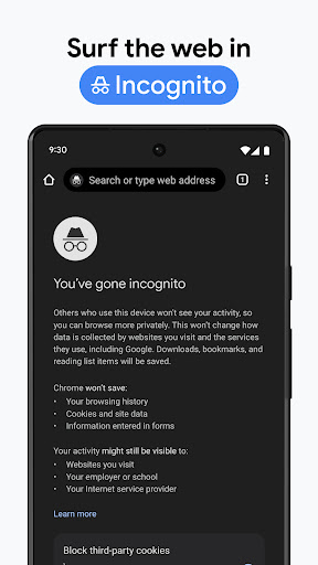 Chrome Beta ekran görüntüsü