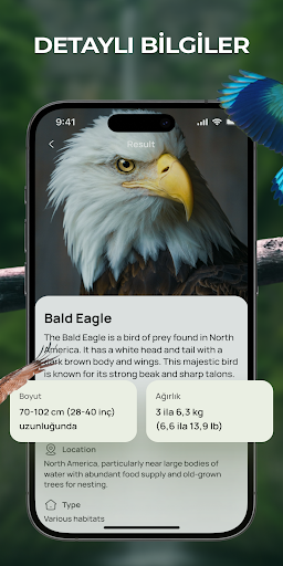 Bird Identifier Sound Guide ekran görüntüsü