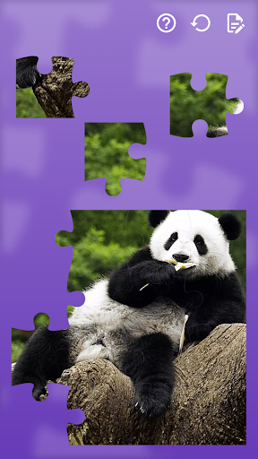 Jigsaw Puzzles Cars & Animals ekran görüntüsü