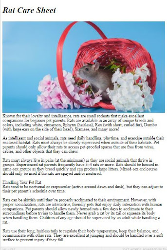 Pet Rat Care Guide ekran görüntüsü