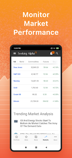 Seeking Alpha: borsa analizler ekran görüntüsü