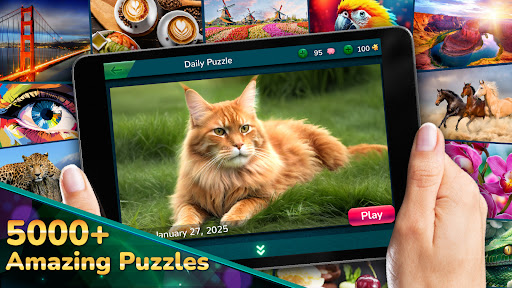 Cool Jigsaw Puzzles ekran görüntüsü