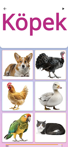 Çocuk Quiz ekran görüntüsü