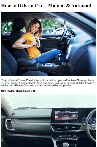 How to Drive a Car ekran görüntüsü