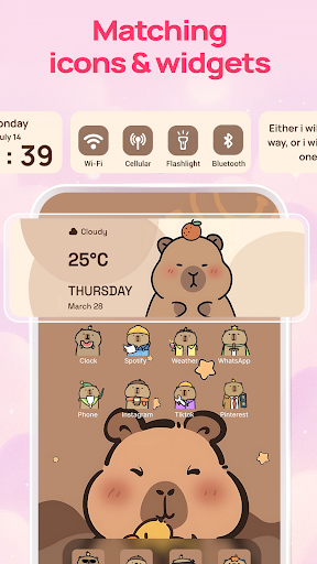 Theme Change: Widget & Icon ekran görüntüsü