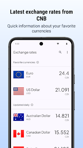 Czech Koruna Exchange Rates V2 ekran görüntüsü
