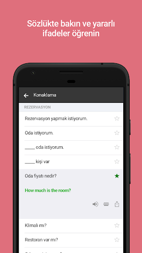 Microsoft Çevirmen ekran görüntüsü