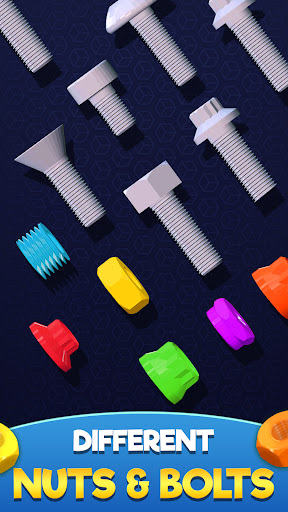 Nuts and Bolts: Sort Puzzle ekran görüntüsü