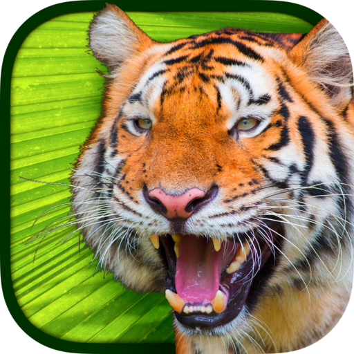 Virtual Reality Animals!