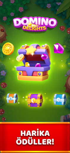 Domino Delights ekran görüntüsü