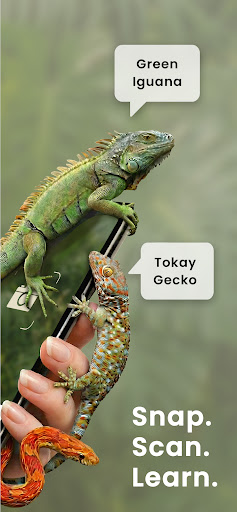 Reptile Identifier: Snake AI ekran görüntüsü