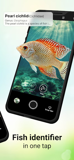 AI Plant & Fish Identifier App ekran görüntüsü
