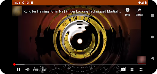 Kung Fu öğrenin ekran görüntüsü