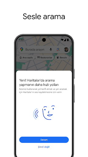 Google Haritalar ekran görüntüsü