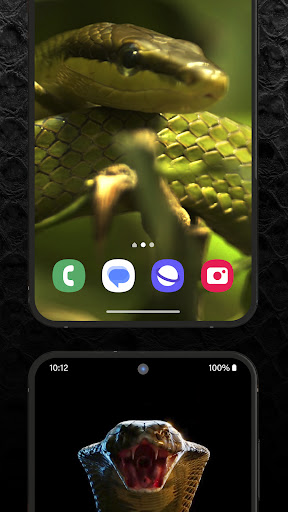 Snake Wallpaper HD + Keyboard ekran görüntüsü