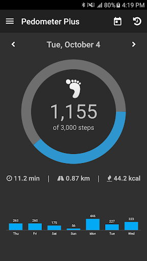 Pedometer Plus - Step Counter ekran görüntüsü