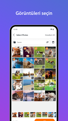 SELPHY Photo Layout ekran görüntüsü